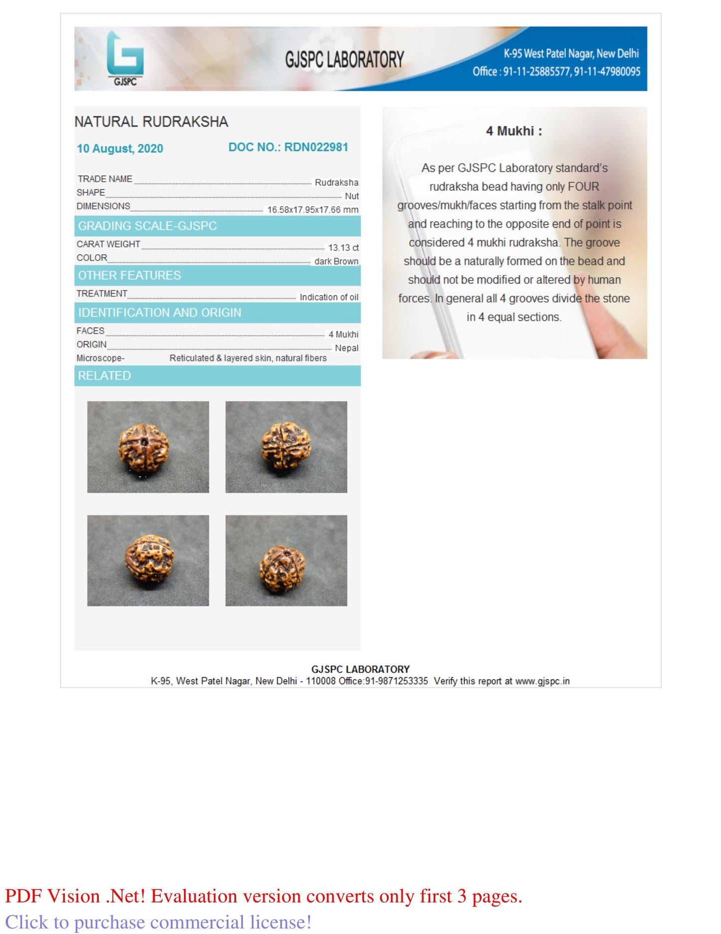 4 MUKHI RUDRAKSHA (17.95 mm)