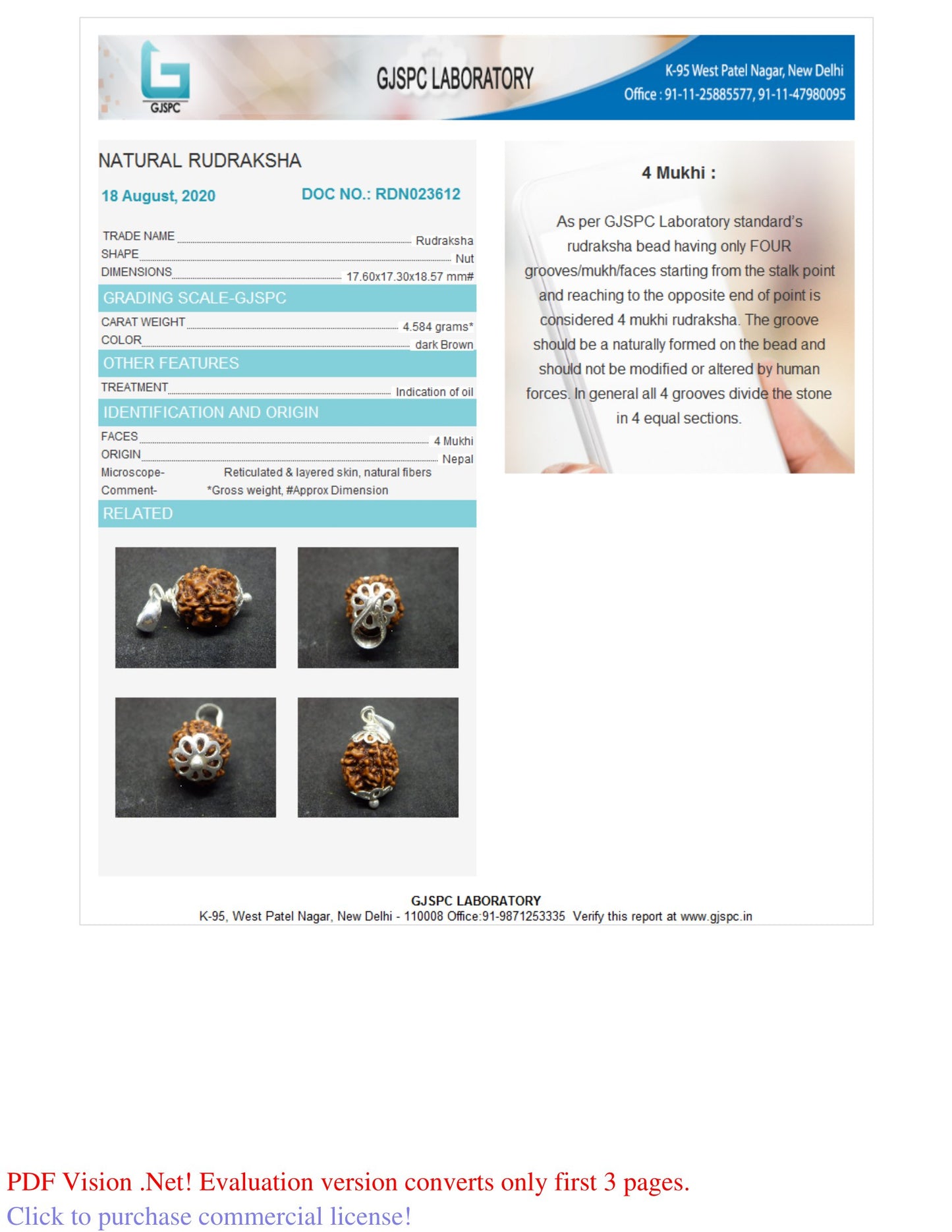 4 MUKHI RUDRAKSHA (18.57 mm)