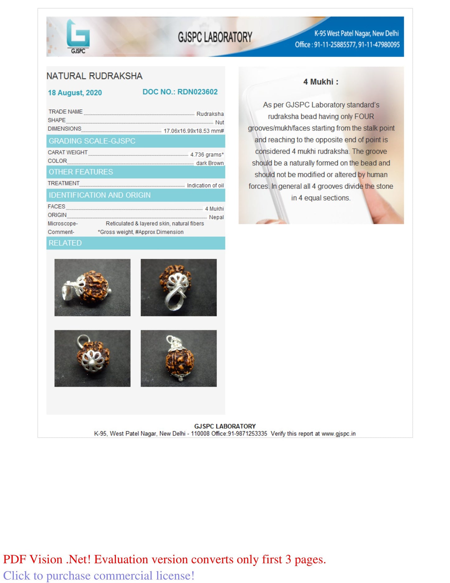 4 MUKHI RUDRAKSHA (18.53 mm)