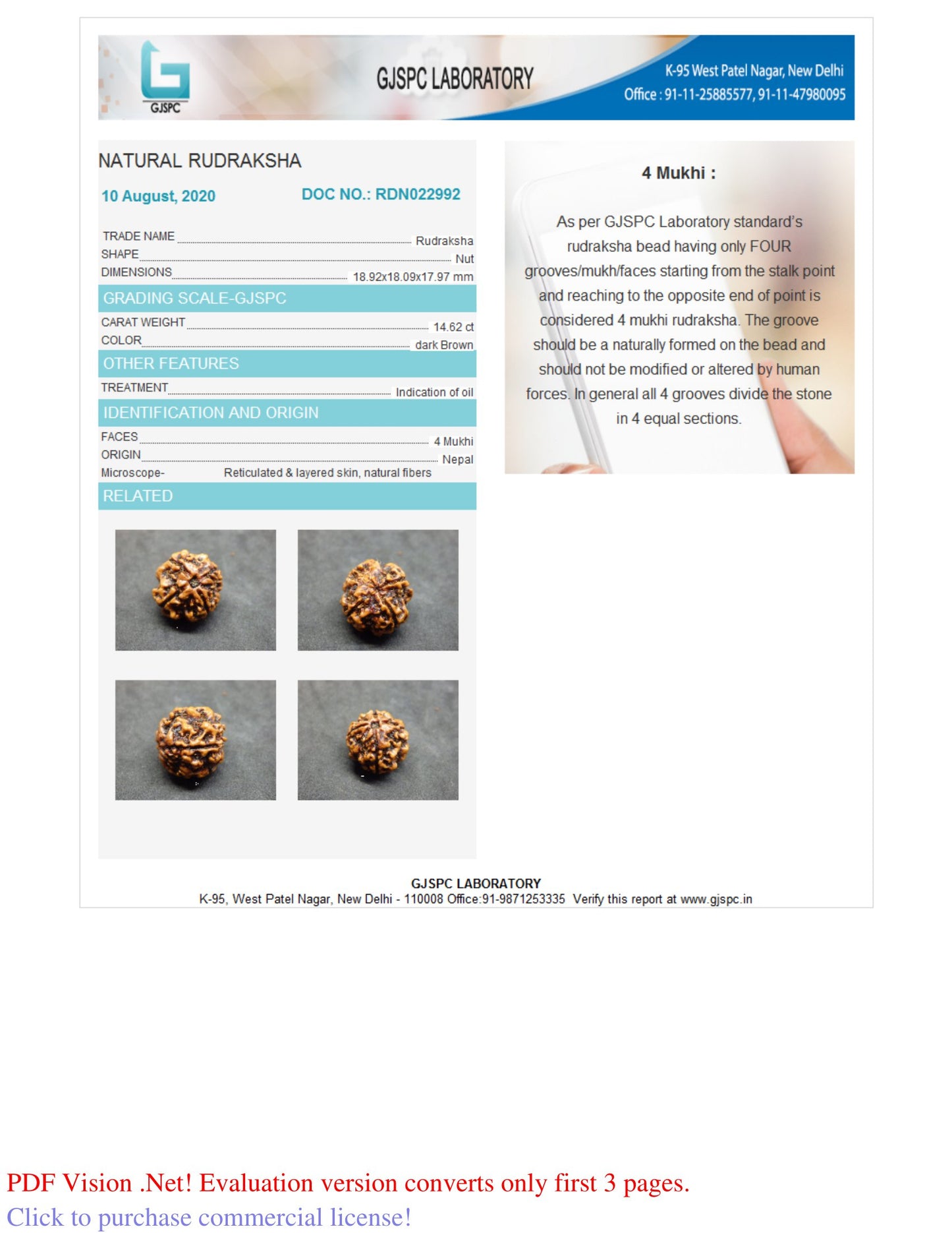 4 MUKHI RUDRAKSHA (18.92 mm)