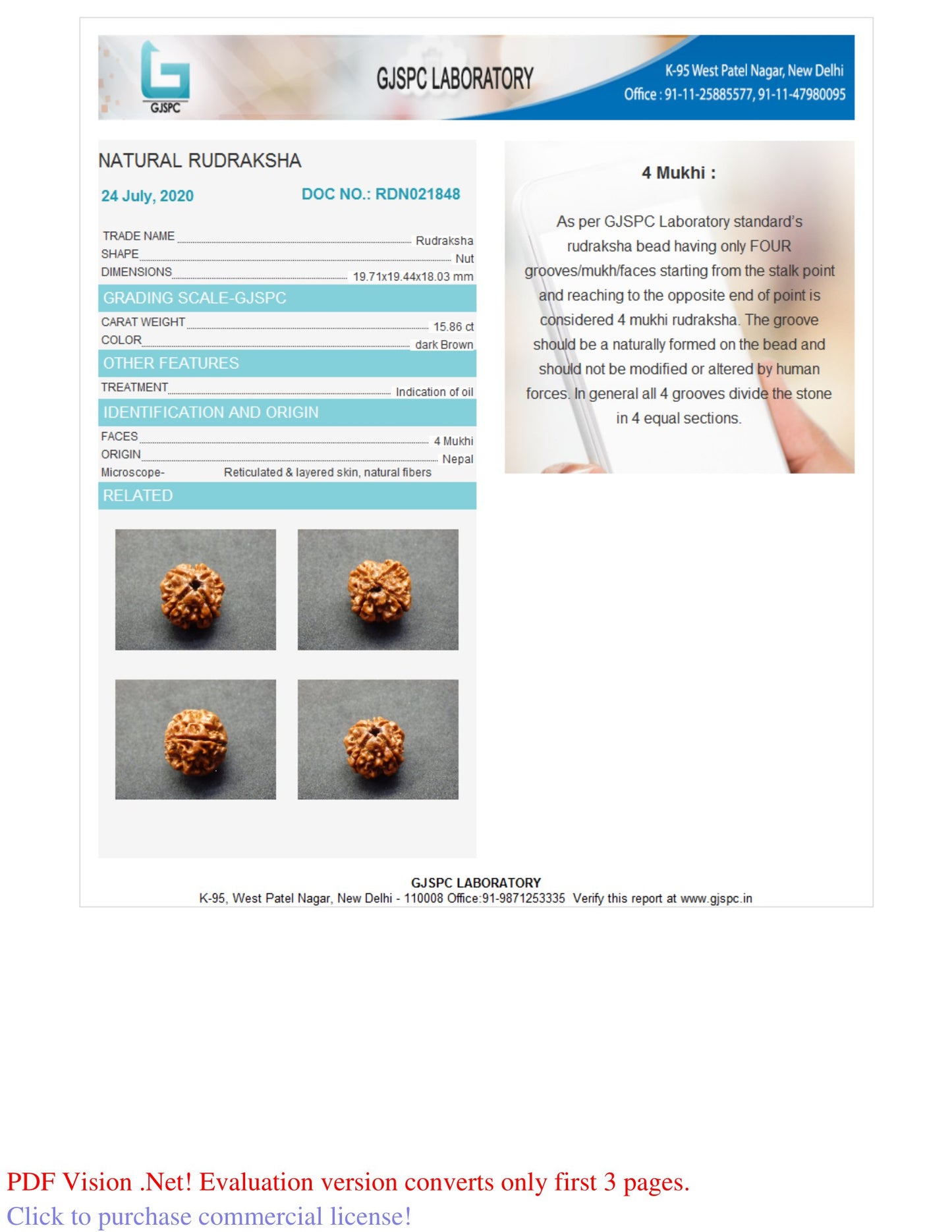 4 MUKHI RUDRAKSHA (19.71 mm)