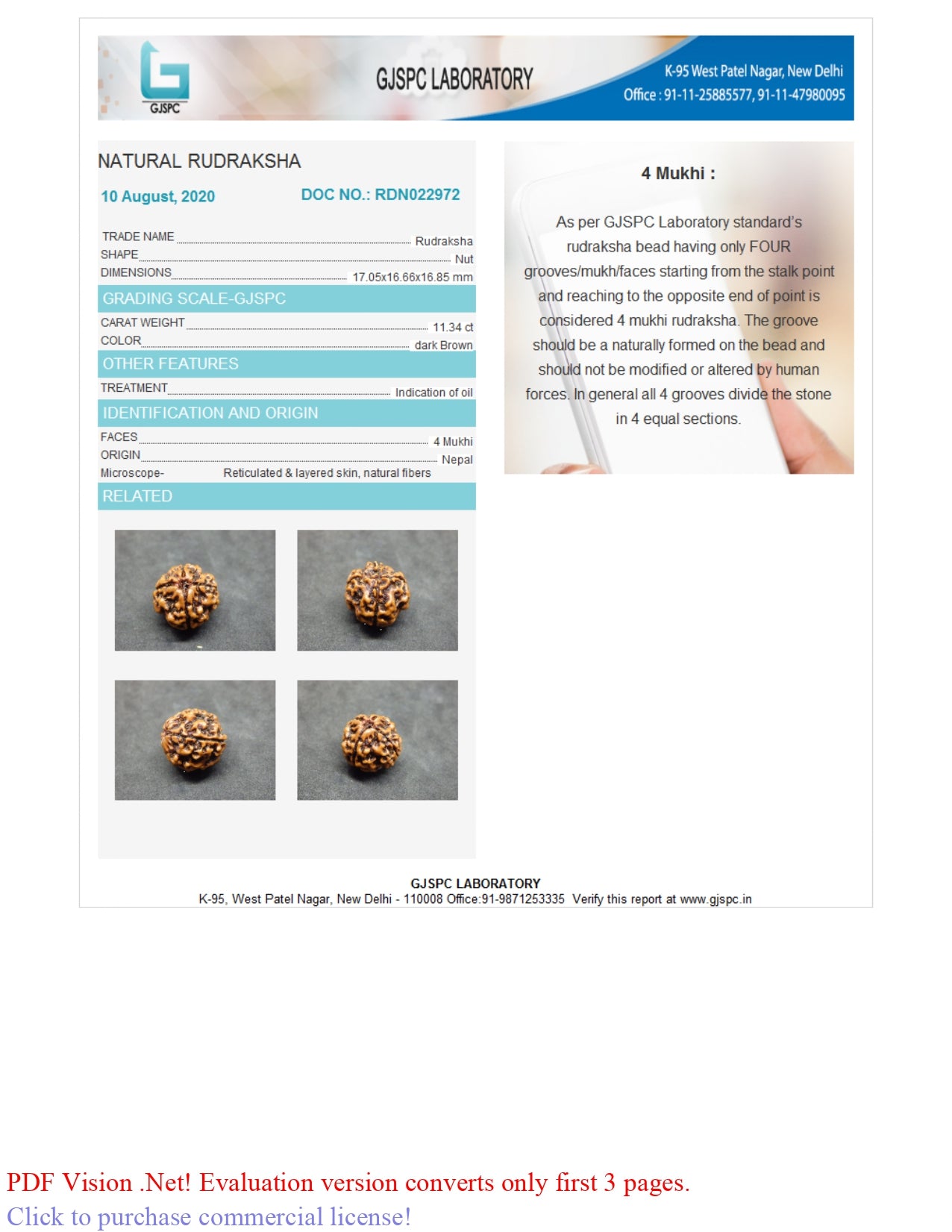 4 MUKHI RUDRAKSHA (17.05 mm)