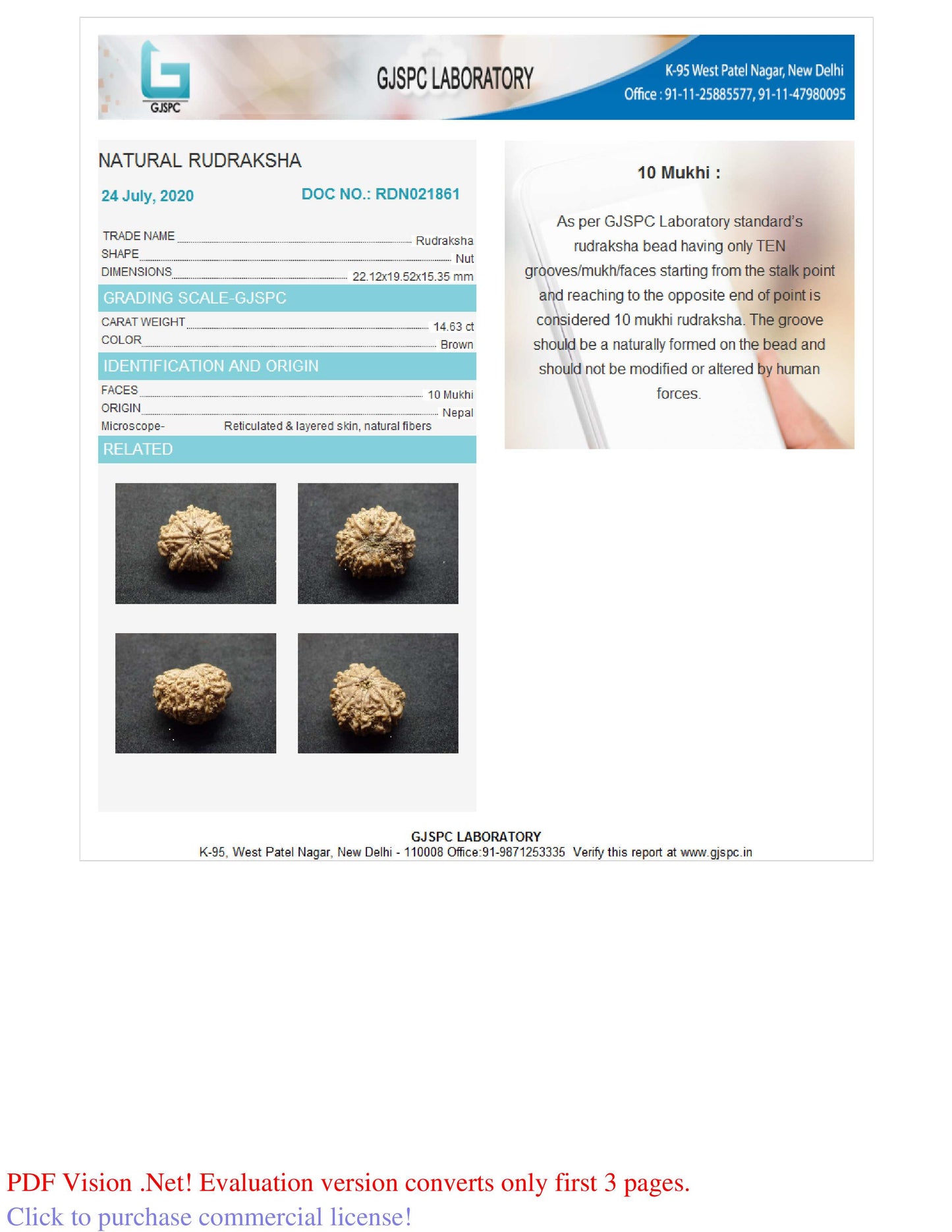 10 MUKHI RUDRAKSHA (22.12 mm)