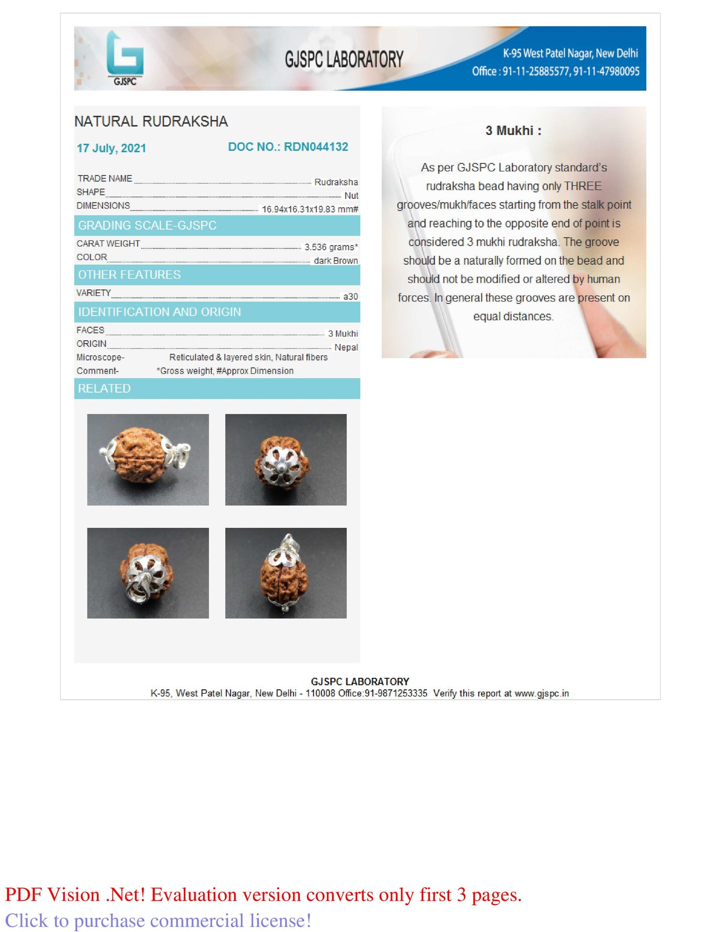 3 MUKHI RUDRAKSHA (19.83 mm)