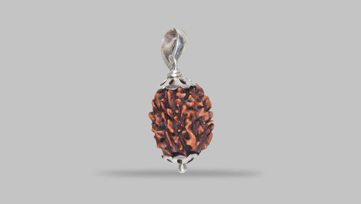 3 MUKHI RUDRAKSHA (21.40 mm)