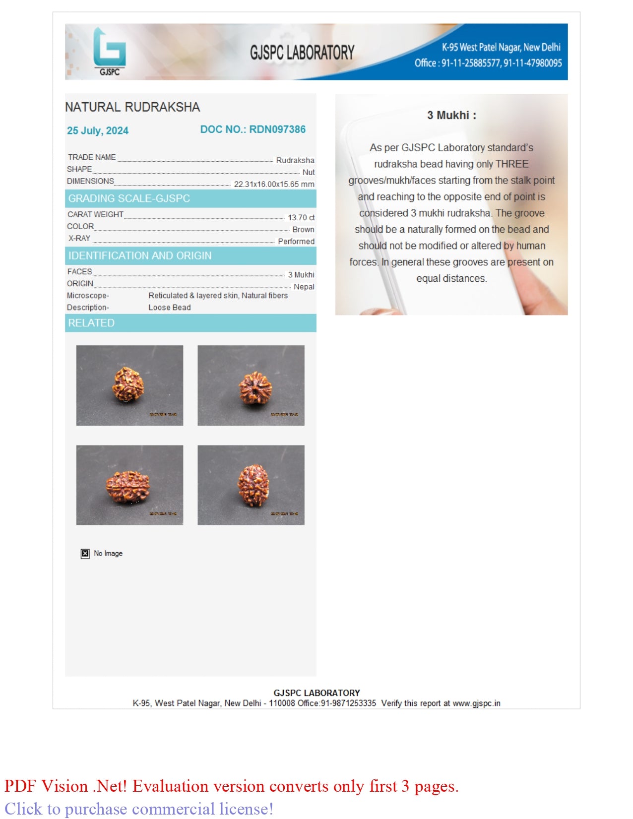 3 MUKHI RUDRAKSHA (22.31 mm)