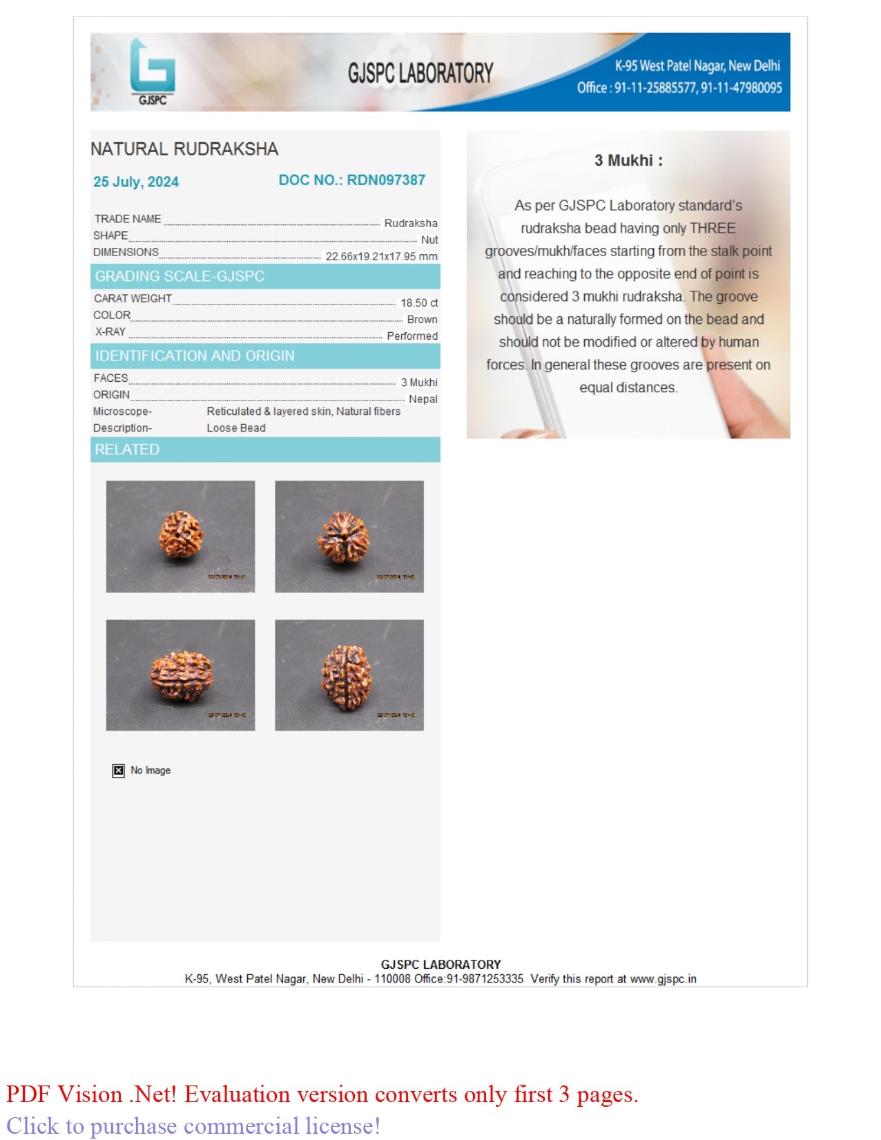 3 MUKHI RUDRAKSHA (22.66 mm)
