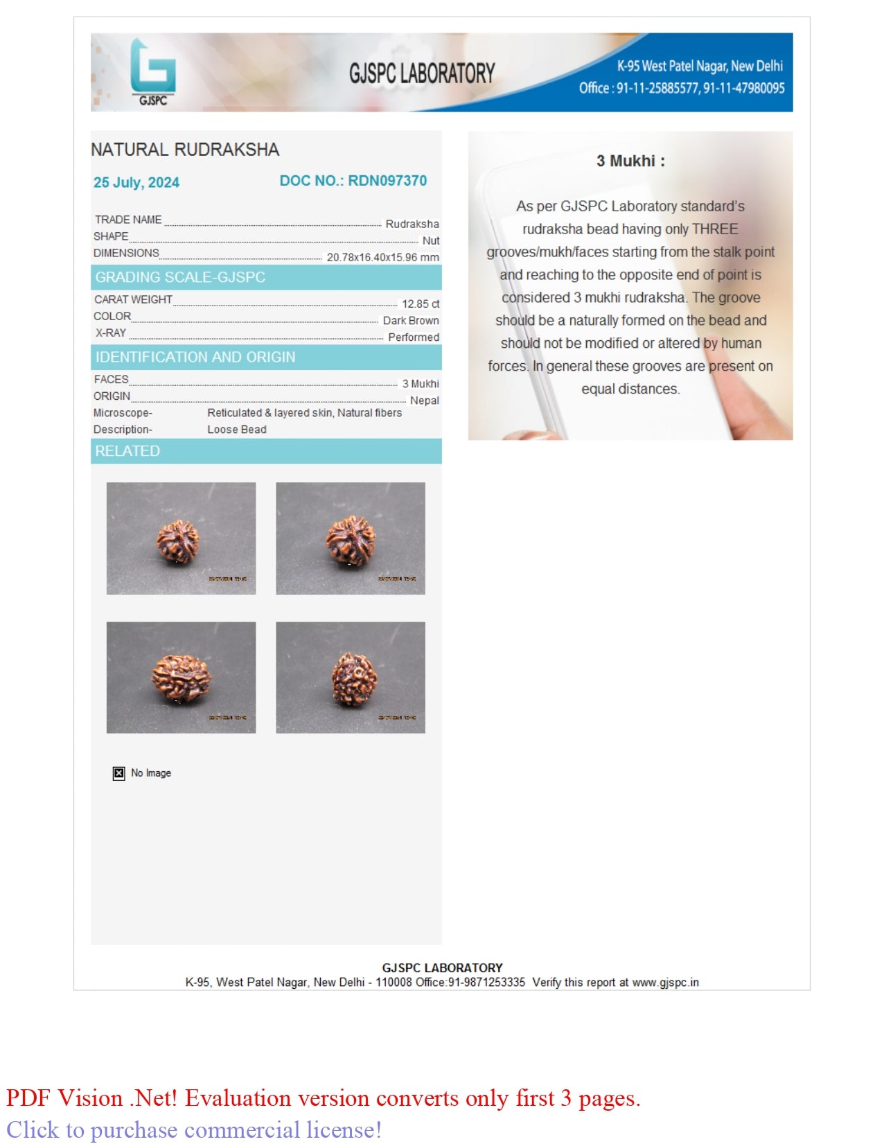 3 MUKHI RUDRAKSHA (20.78 mm)