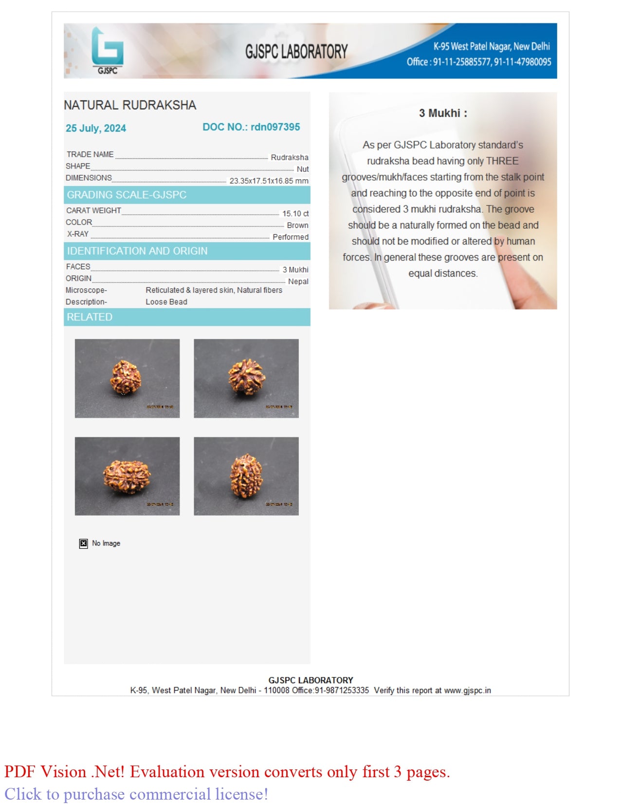 3 MUKHI RUDRAKSHA (23.35 mm)