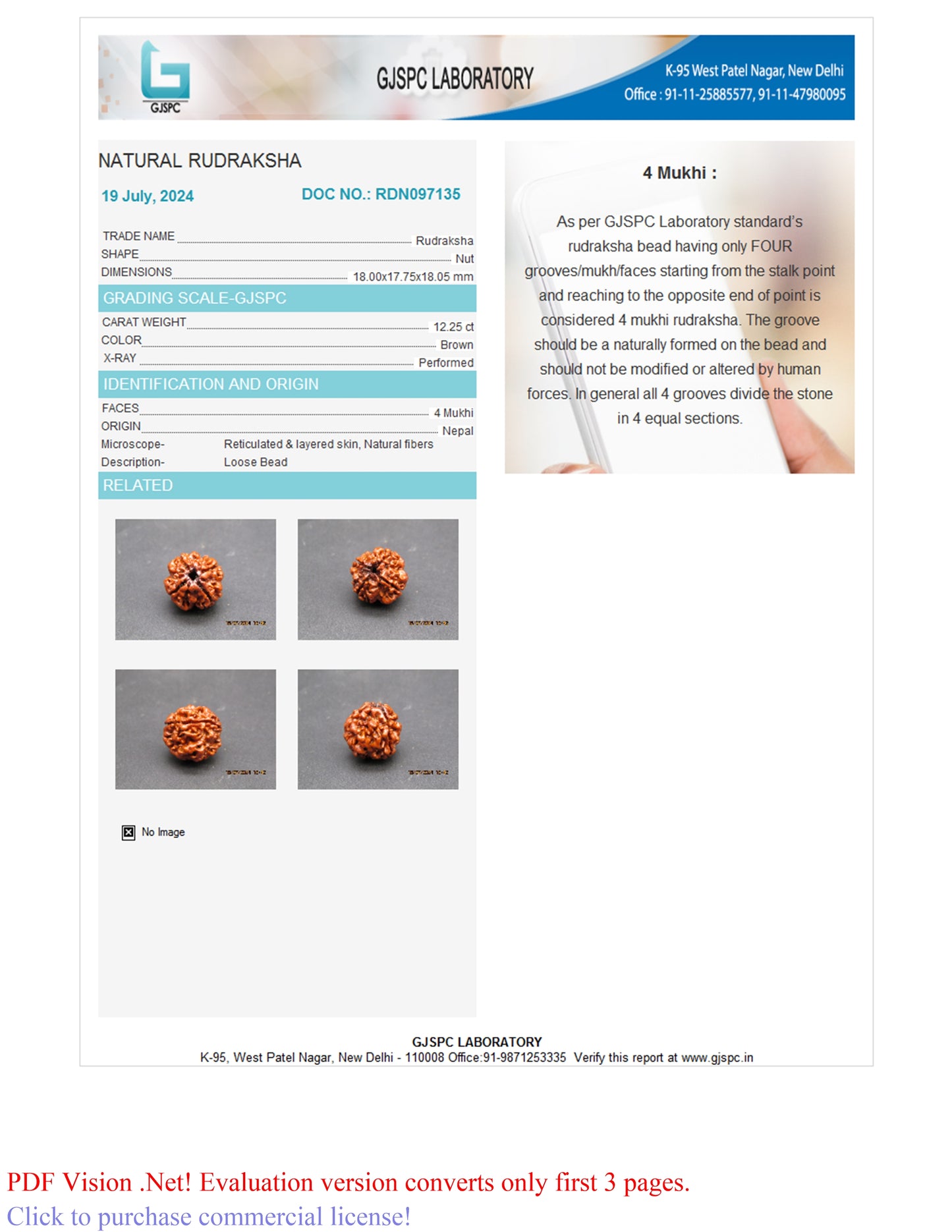 4 MUKHI RUDRAKSHA (18.00 mm)