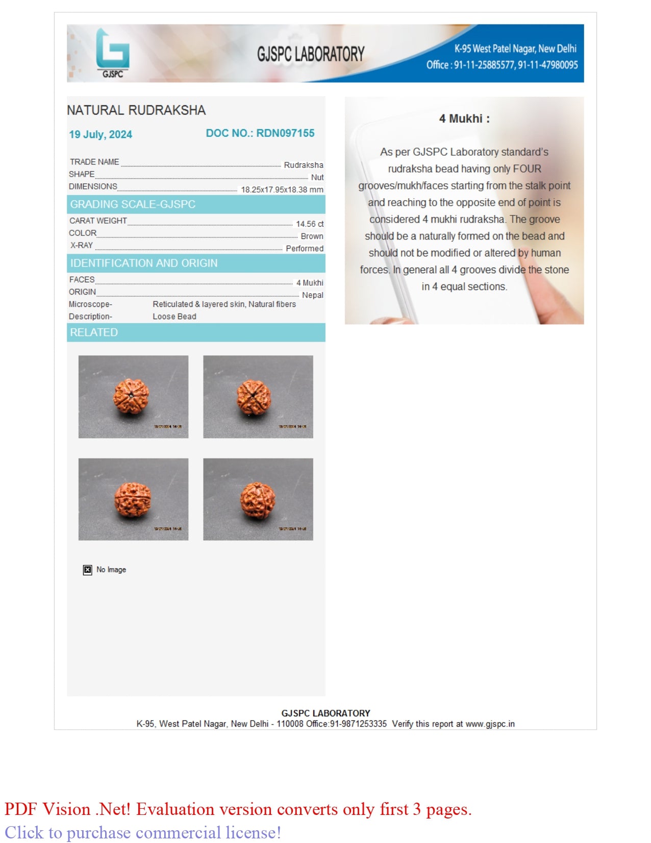 4 MUKHI RUDRAKSHA (18.25 mm)
