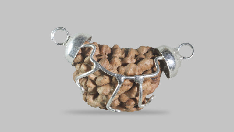 1 MUKHI RUDRAKSHA (21.65 mm)