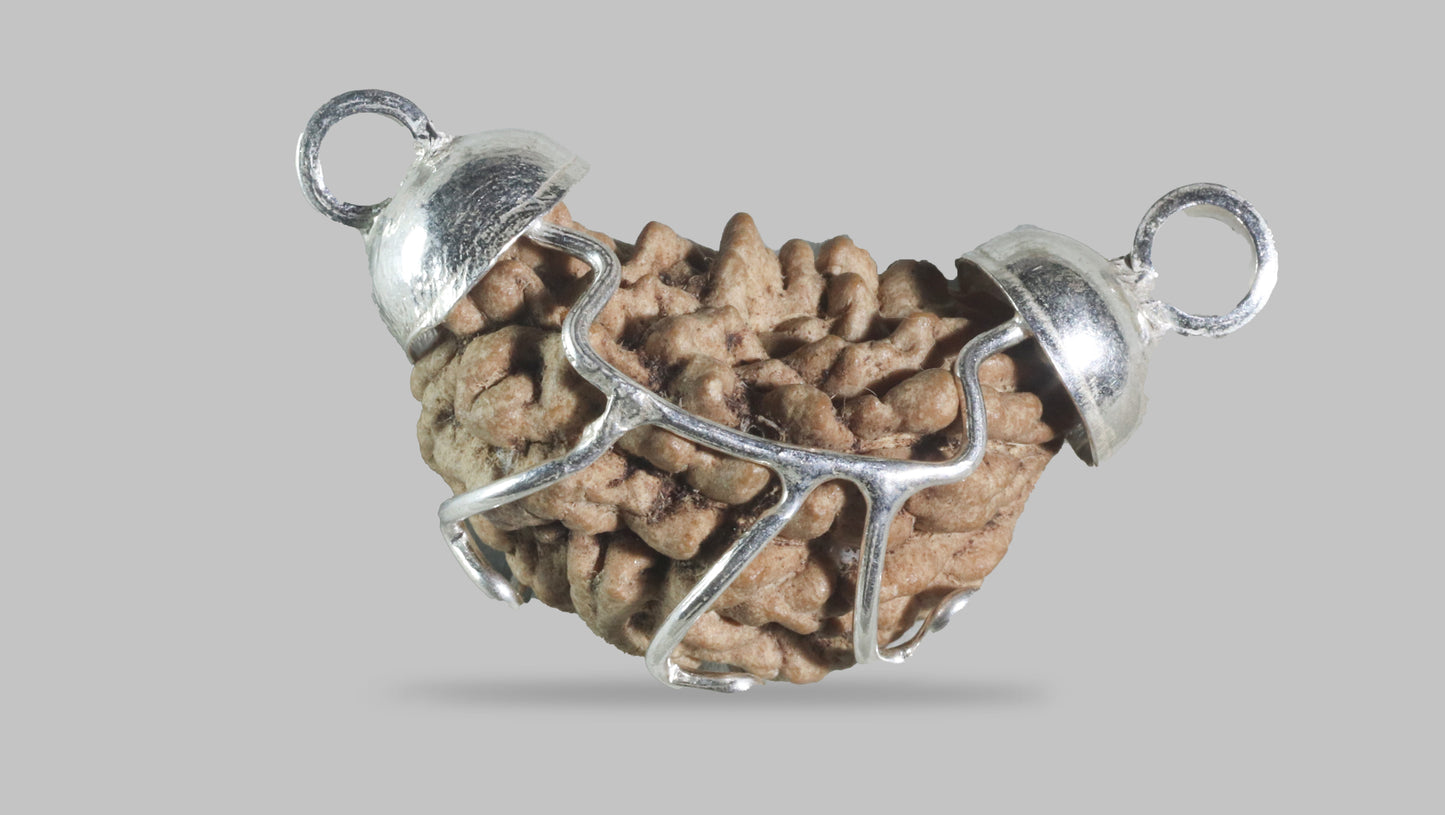 1 MUKHI RUDRAKSHA (22.00 mm)
