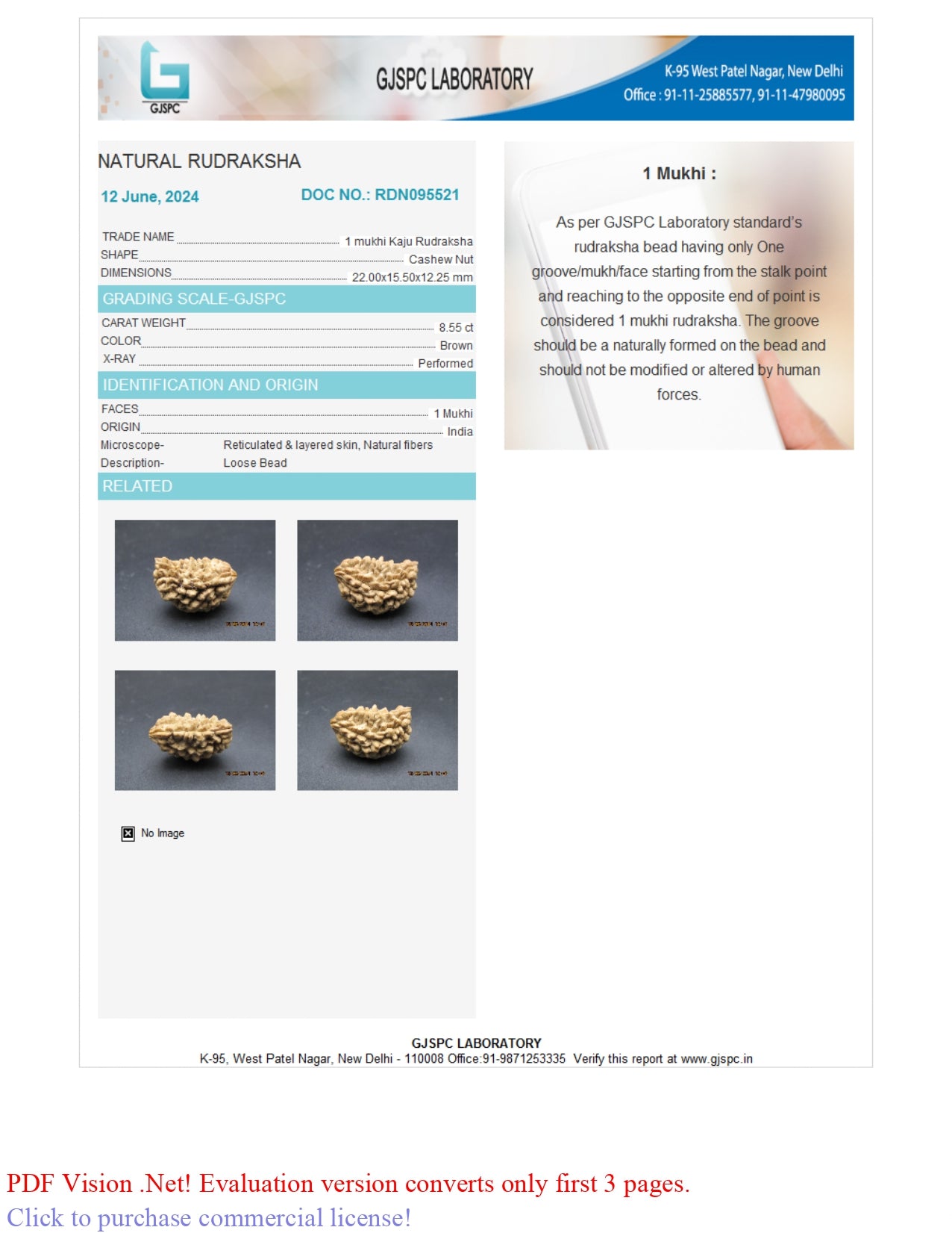 1 MUKHI RUDRAKSHA (22.00 mm)