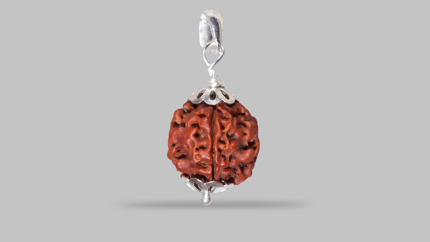 4 MUKHI RUDRAKSHA (18.70 mm)
