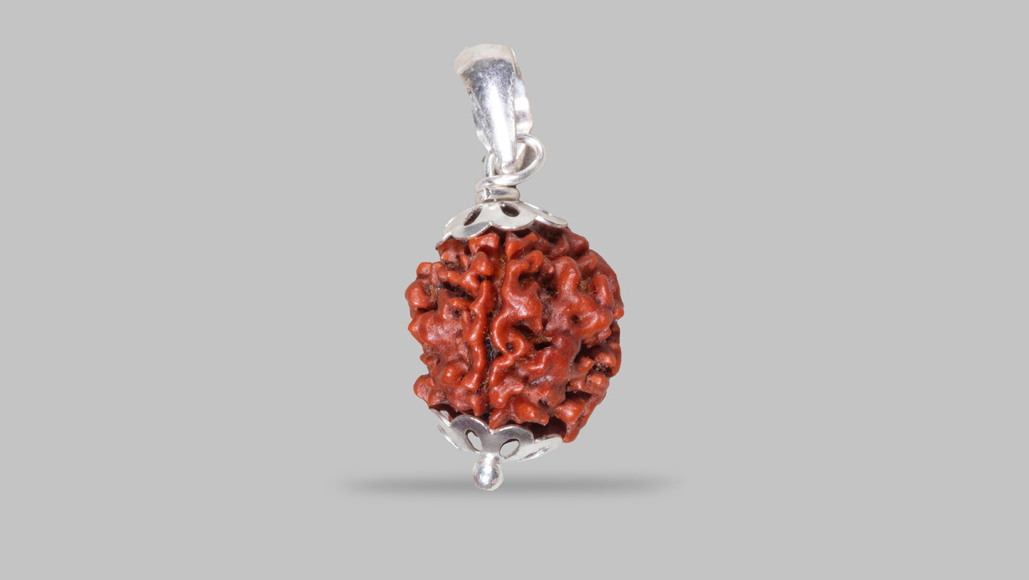 4 MUKHI RUDRAKSHA (17.65 mm)