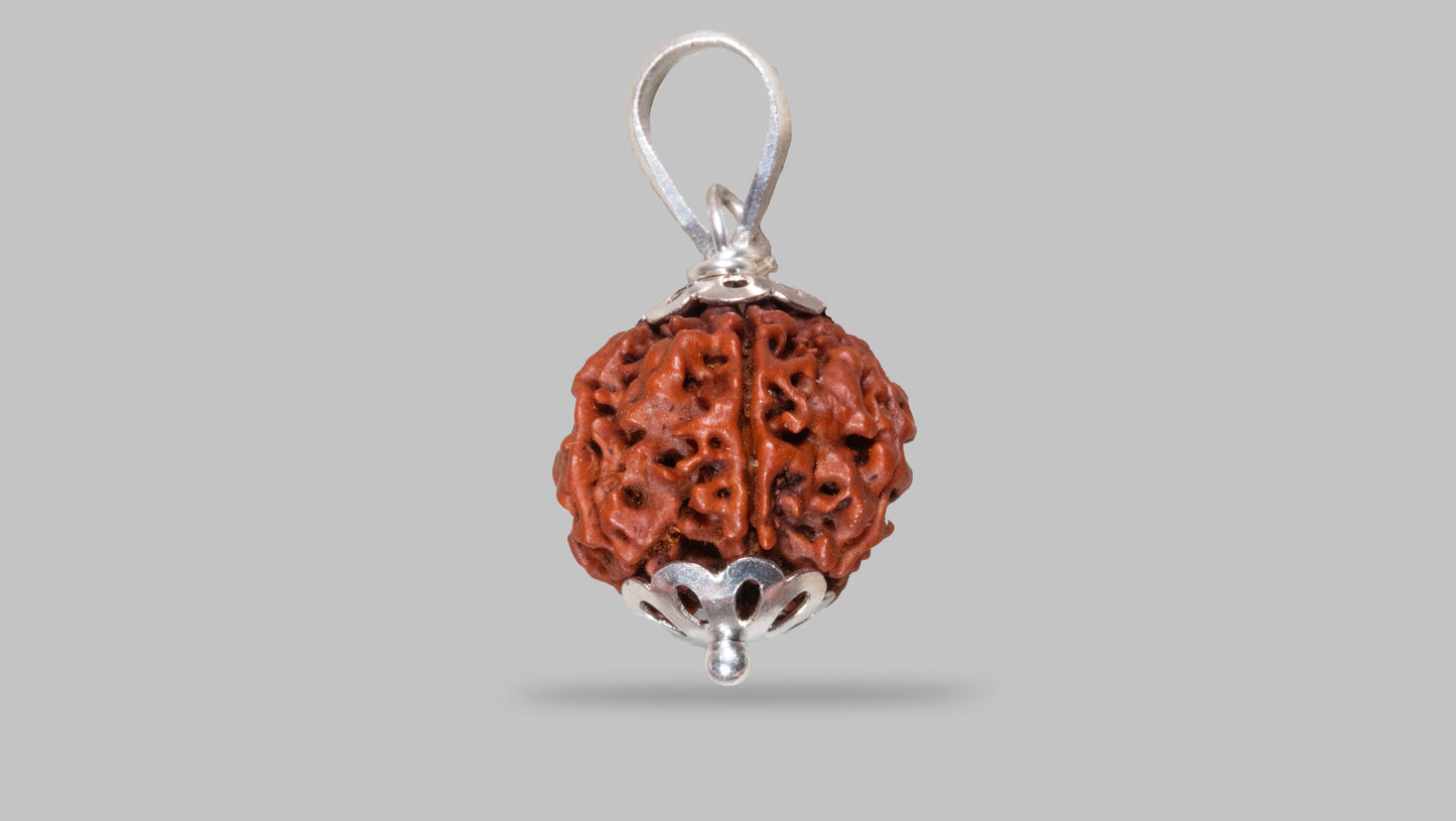 6 MUKHI RUDRAKSHA (18.97 mm)