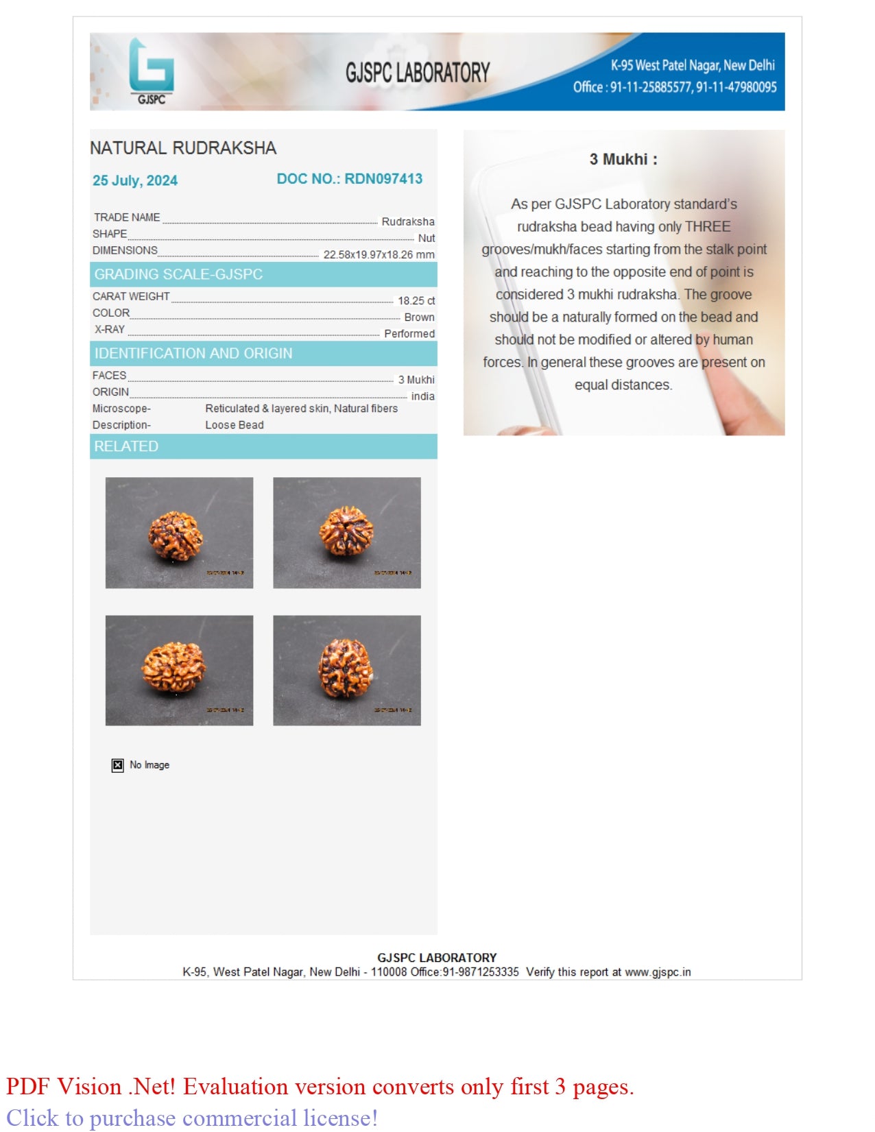 3 MUKHI RUDRAKSHA (22.58 mm)