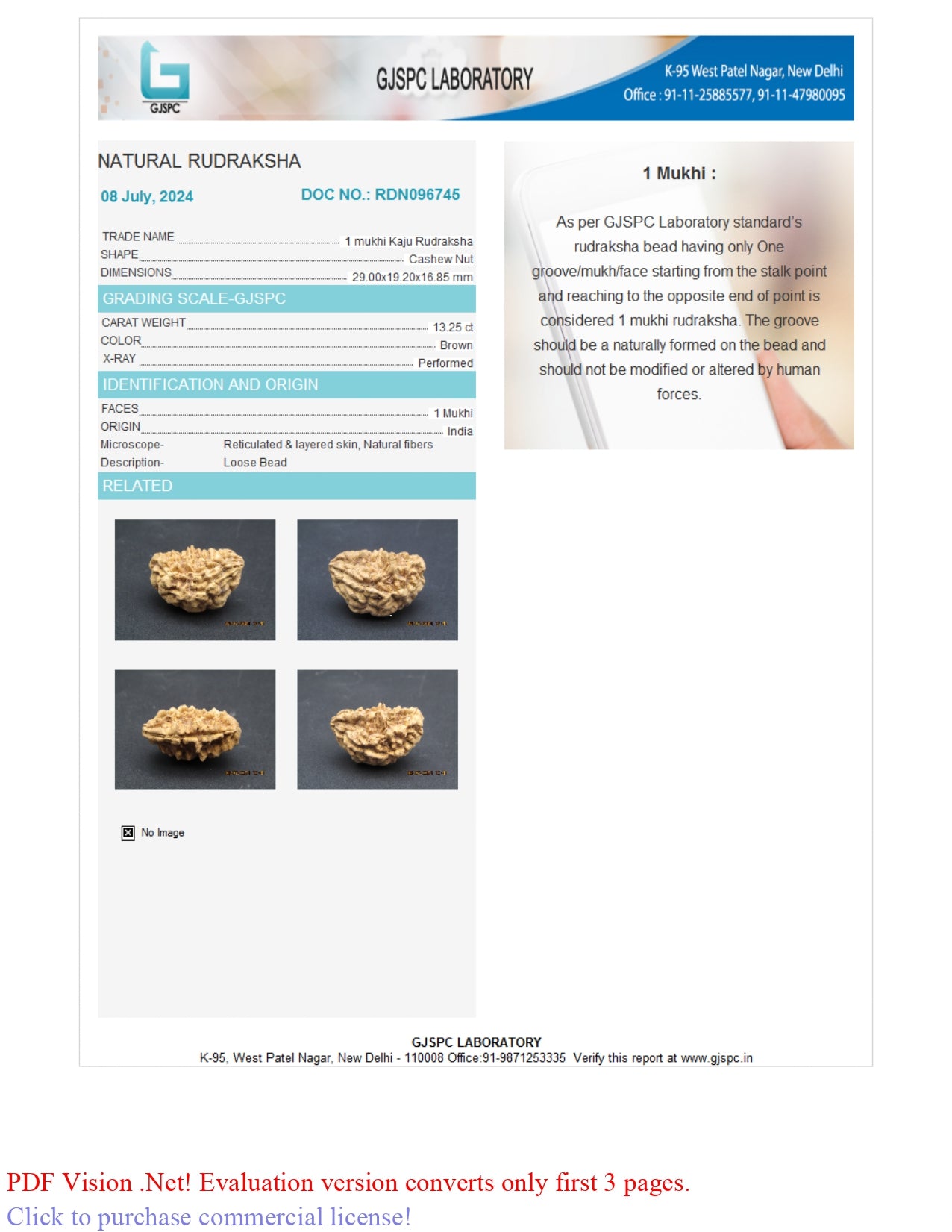 1 MUKHI RUDRAKSHA (29.00 mm)