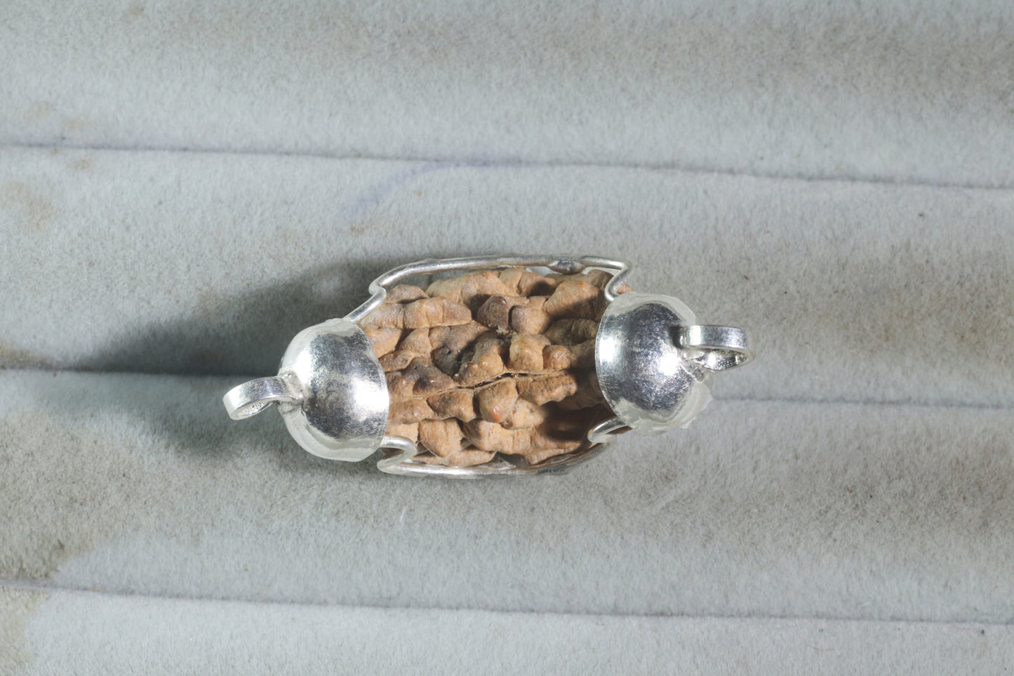 1 MUKHI RUDRAKSHA (24.05 mm)