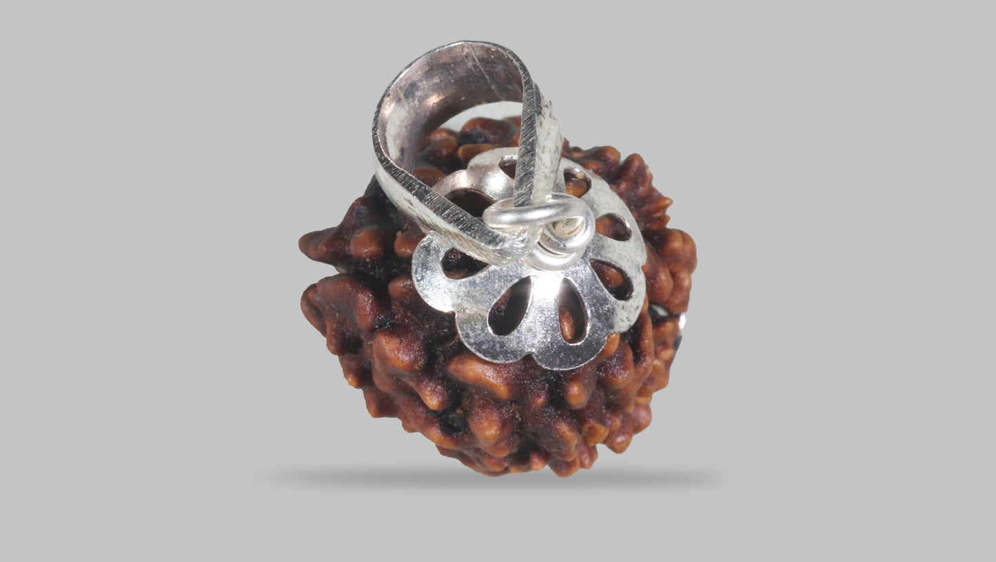 3 MUKHI RUDRAKSHA (22.26 mm)