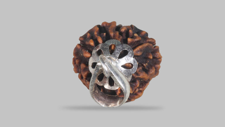 3 MUKHI RUDRAKSHA (22.47 mm)