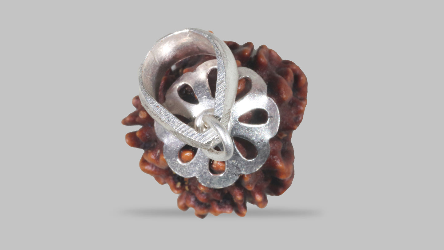 3 MUKHI RUDRAKSHA (22.31 mm)