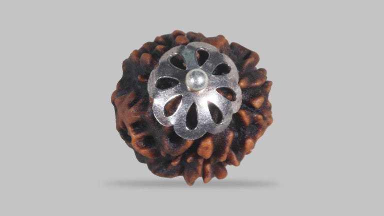 3 MUKHI RUDRAKSHA (22.33 mm)