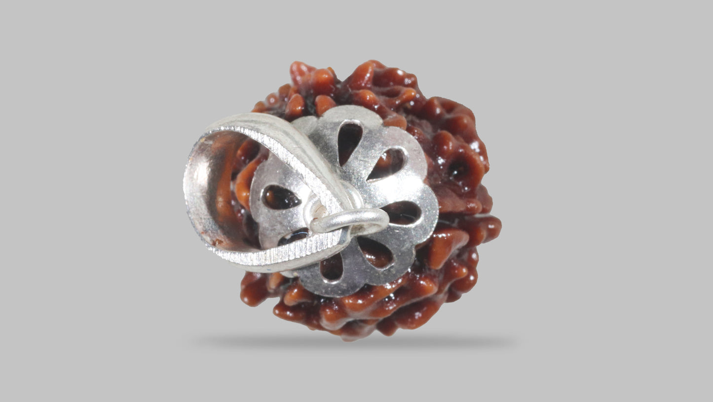 3 MUKHI RUDRAKSHA (20.80 mm)