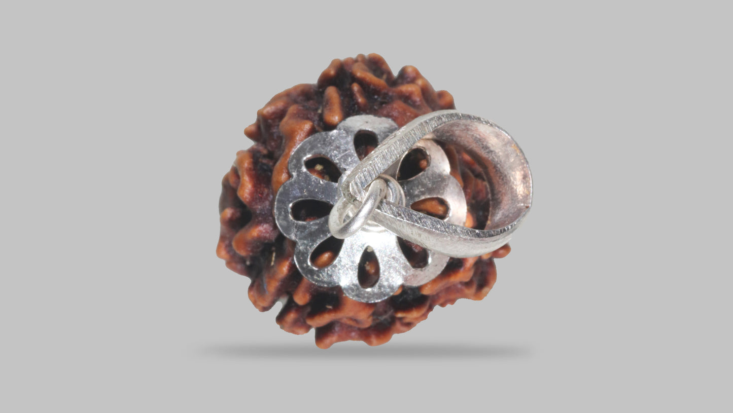 3 MUKHI RUDRAKSHA (21.40 mm)