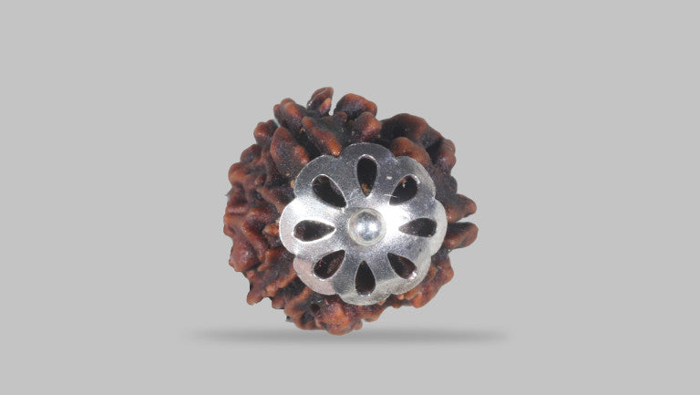 3 MUKHI RUDRAKSHA (20.78 mm)