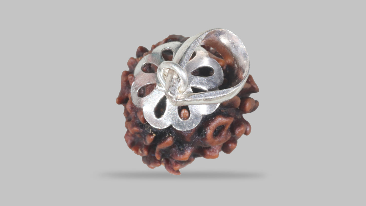 3 MUKHI RUDRAKSHA (20.78 mm)