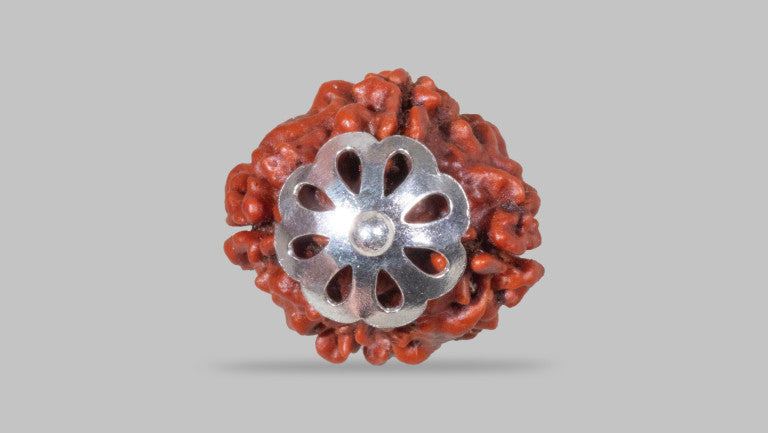4 MUKHI RUDRAKSHA (17.65 mm)