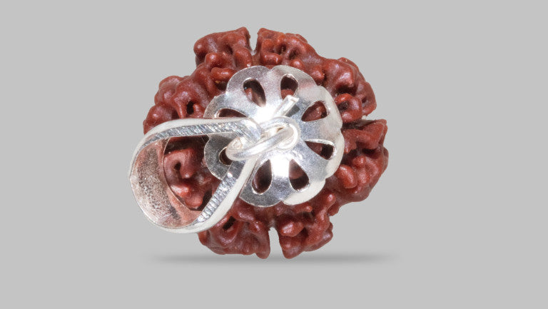4 MUKHI RUDRAKSHA (18.75 mm)