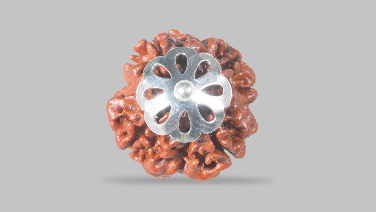 4 MUKHI RUDRAKSHA (18.00 mm)