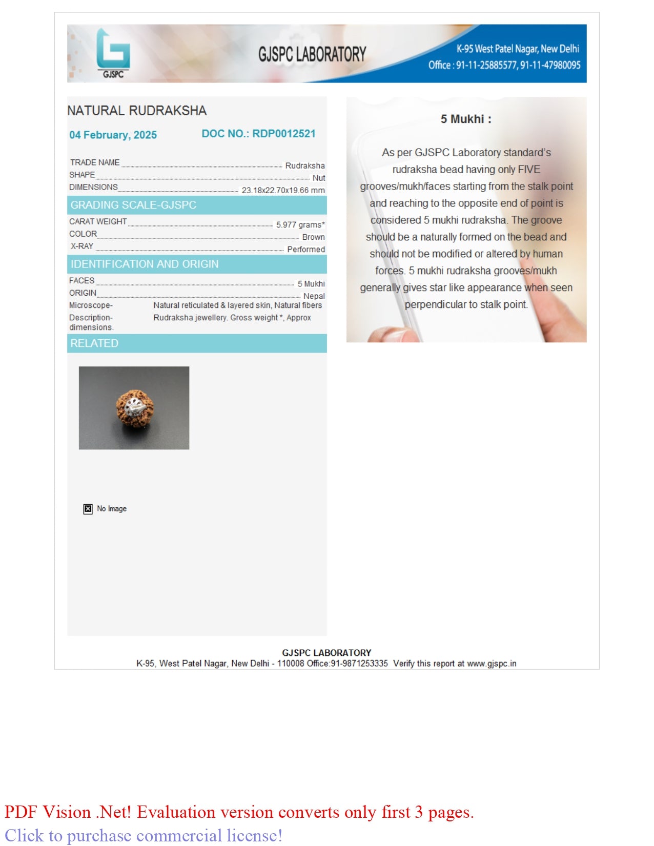 5 MUKHI RUDRAKSHA (23.18 mm)