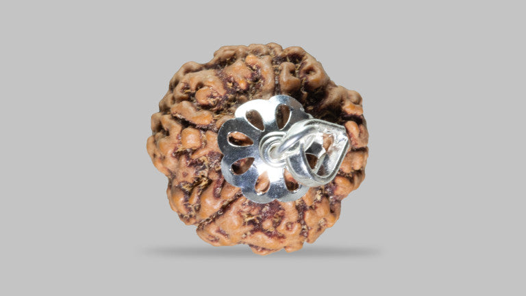 5 MUKHI RUDRAKSHA (22.40 mm)