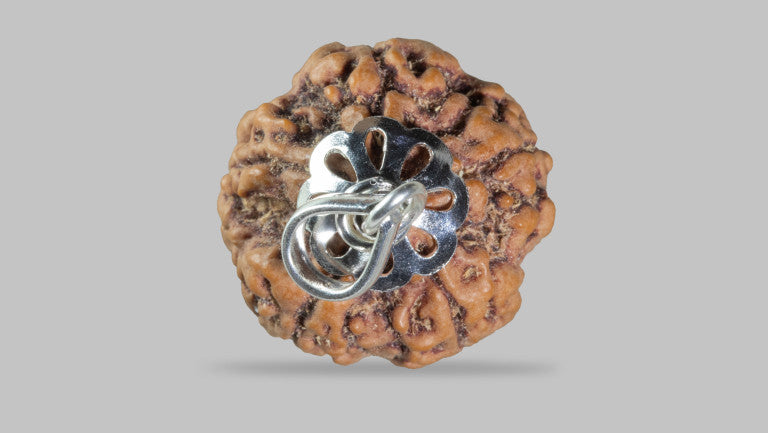 5 MUKHI RUDRAKSHA (21.96 mm)