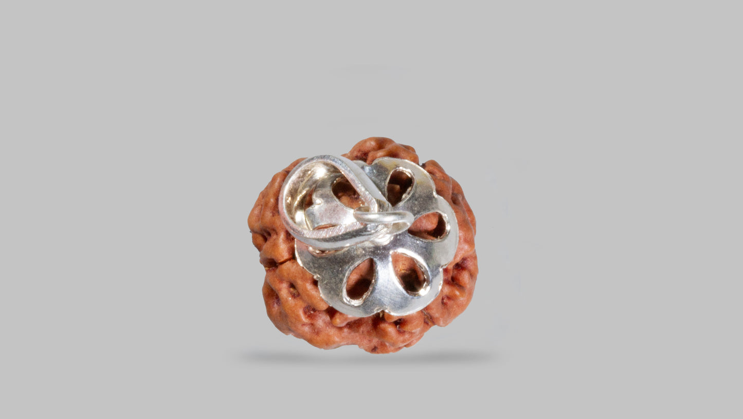 3 MUKHI RUDRAKSHA (21.22 mm)