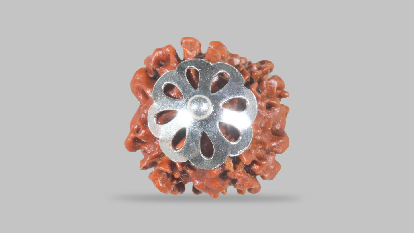 4 MUKHI RUDRAKSHA (17.36 mm)