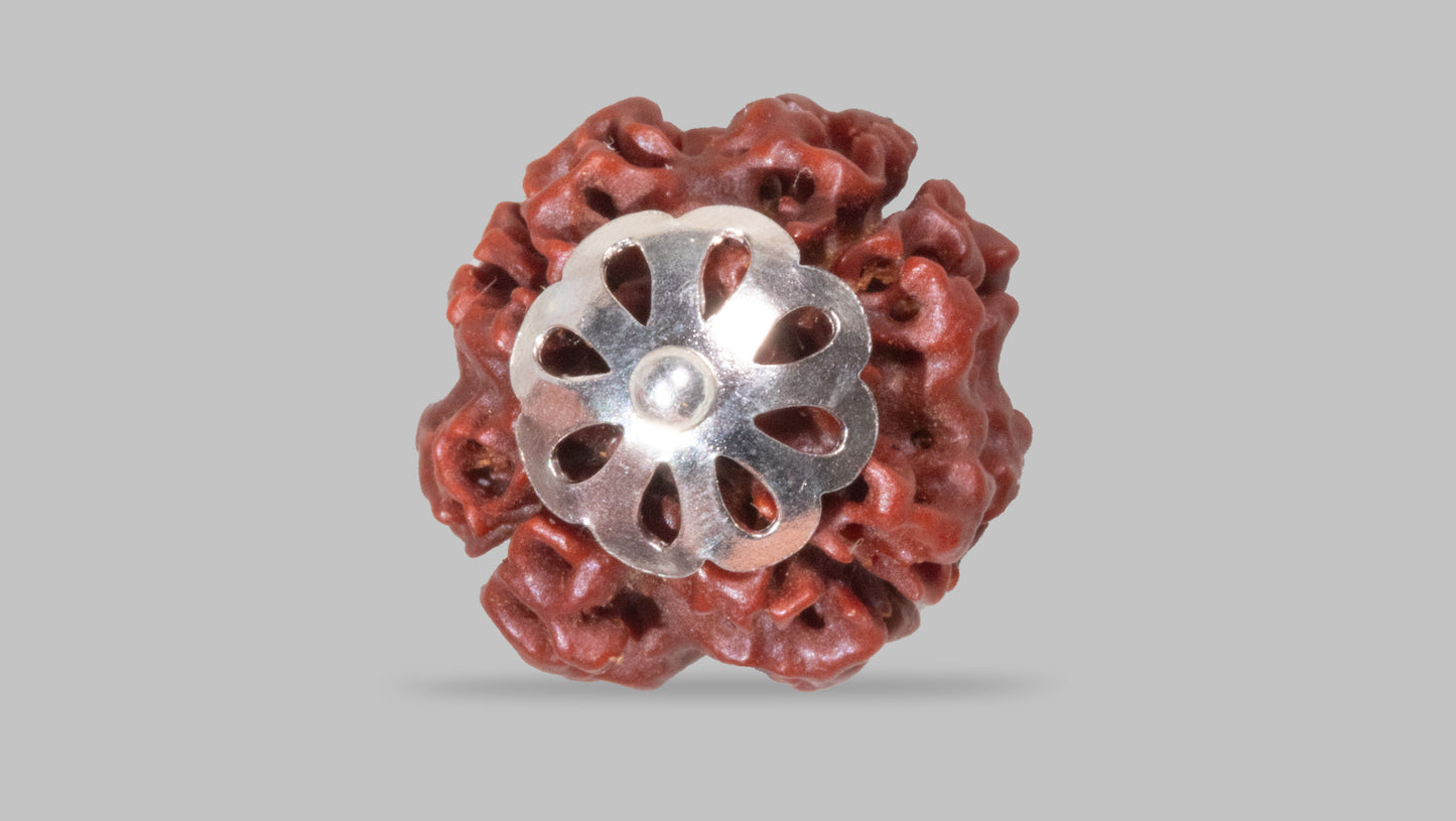 4 MUKHI RUDRAKSHA (18.75 mm)
