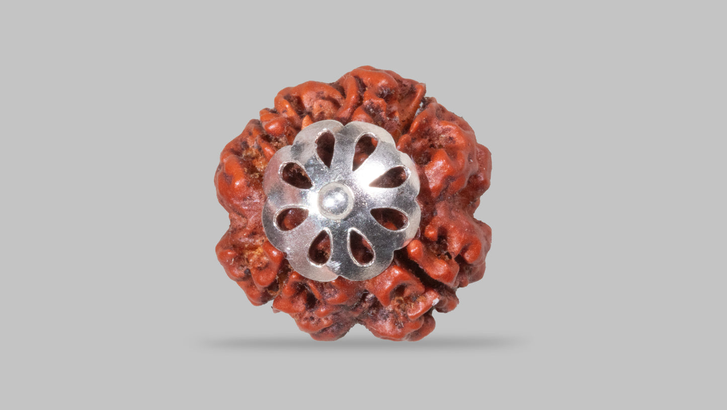 4 MUKHI RUDRAKSHA (18.90 mm)