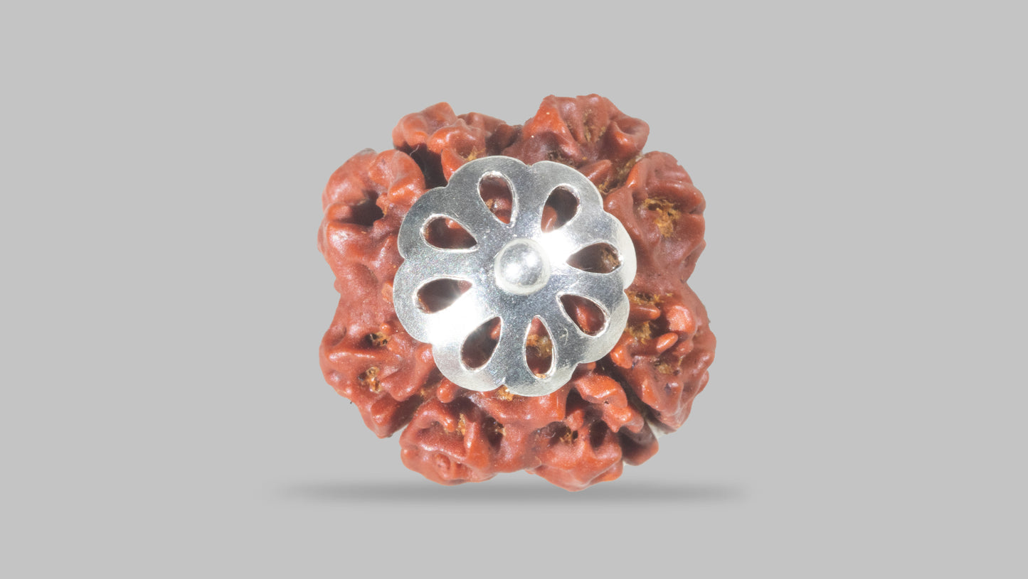 4 MUKHI RUDRAKSHA(18.55 mm)