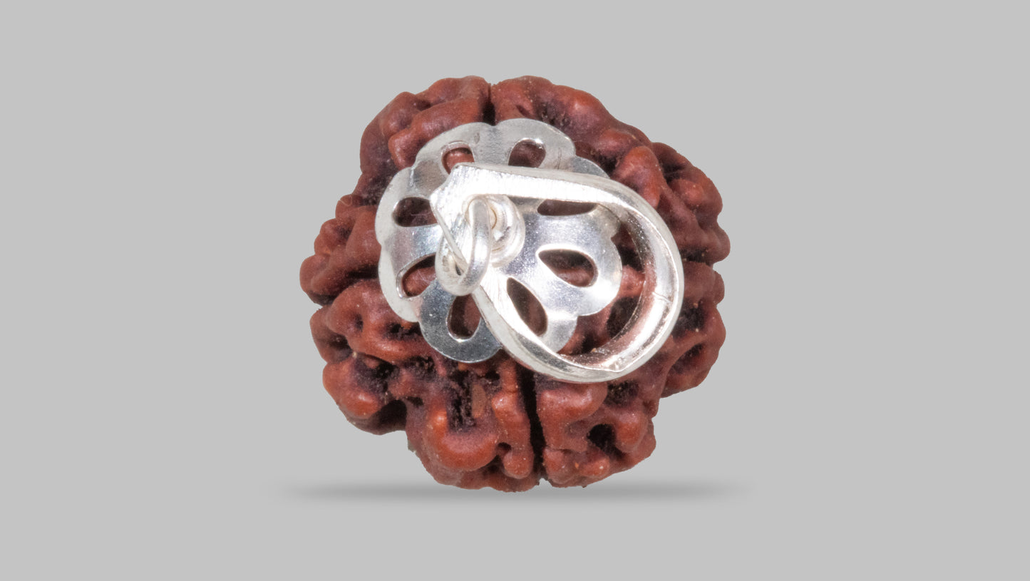 4 MUKHI RUDRAKSHA (18.15 mm)