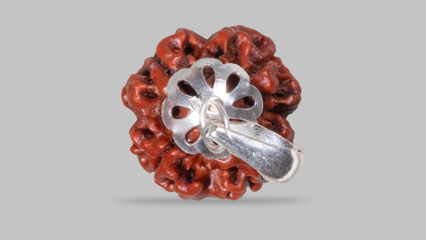 4 MUKHI RUDRAKSHA (19.60 mm)