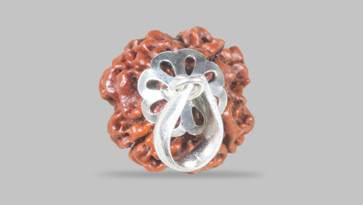4 MUKHI RUDRAKSHA(18.96 mm)