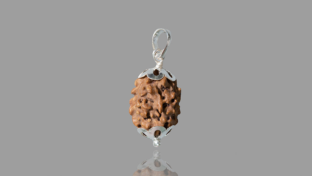 15 MUKHI RUDRAKSHA (18.41 mm)