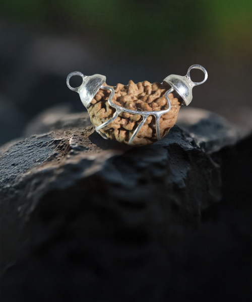 1 Mukhi Rudraksha