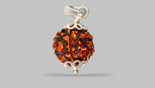 4 MUKHI RUDRAKSHA (18.53 mm)