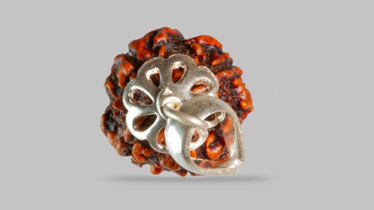 4 MUKHI RUDRAKSHA (18.53 mm)